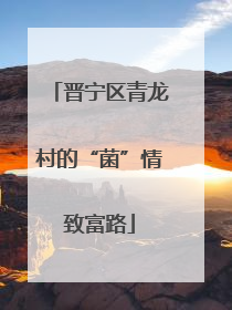 晋宁区青龙村的“菌”情致富路